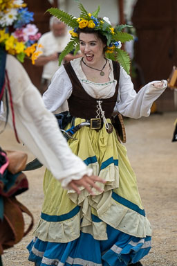 Renaissence Festivals
